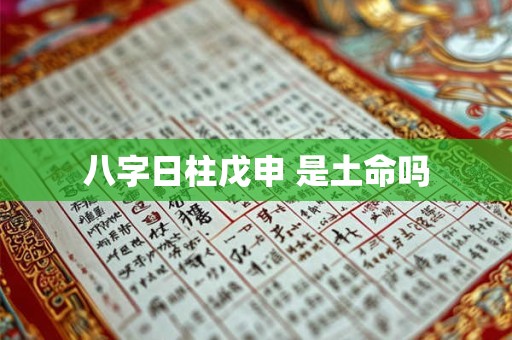 八字日柱戊申 是土命吗