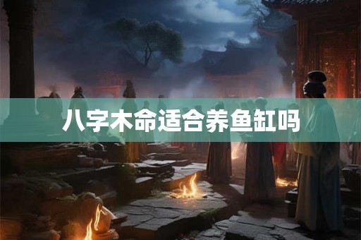 八字木命适合养鱼缸吗