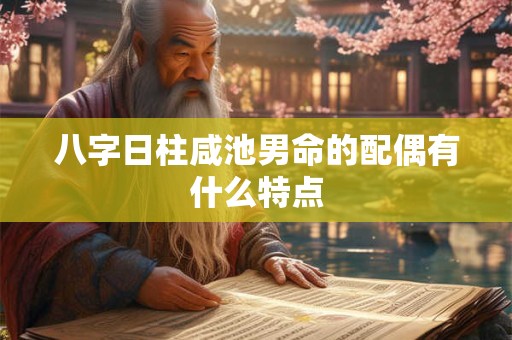 八字日柱咸池男命的配偶有什么特点