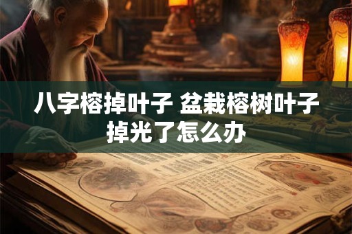 八字榕掉叶子 盆栽榕树叶子掉光了怎么办