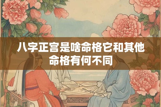 八字正宫是啥命格它和其他命格有何不同