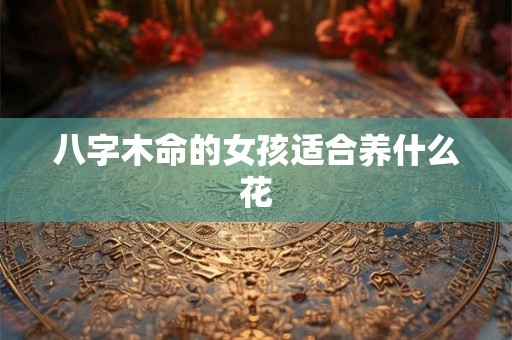 八字木命的女孩适合养什么花
