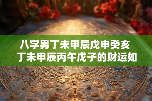 八字男丁未甲辰戊申癸亥 丁未甲辰丙午戊子的财运如何