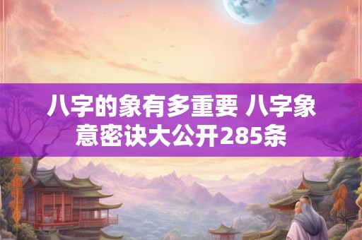 八字的象有多重要 八字象意密诀大公开285条