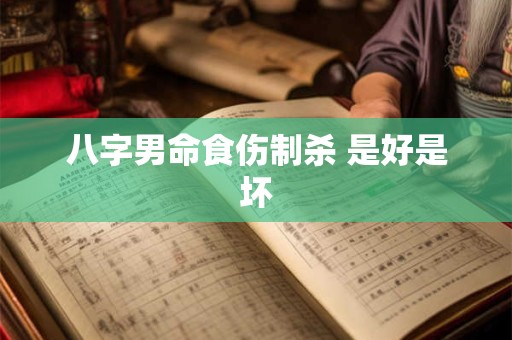 八字男命食伤制杀 是好是坏