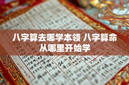 八字算去哪学本领 八字算命从哪里开始学