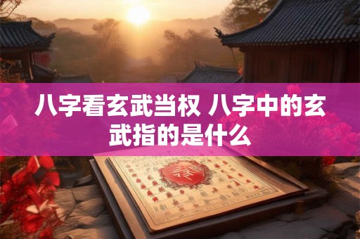 八字看玄武当权 八字中的玄武指的是什么