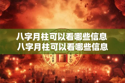 八字月柱可以看哪些信息 八字月柱可以看哪些信息