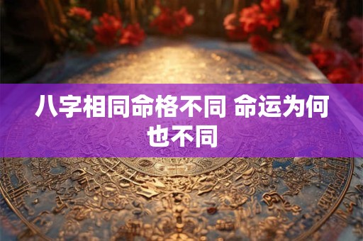 八字相同命格不同 命运为何也不同