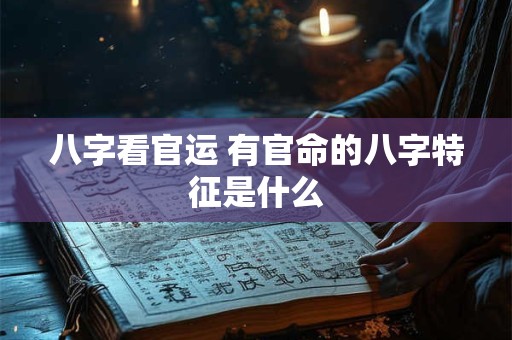 八字看官运 有官命的八字特征是什么 八字看官运 有官命的八字特征是什么