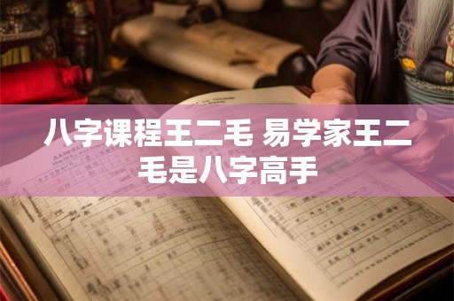 八字课程王二毛 易学家王二毛是八字高手