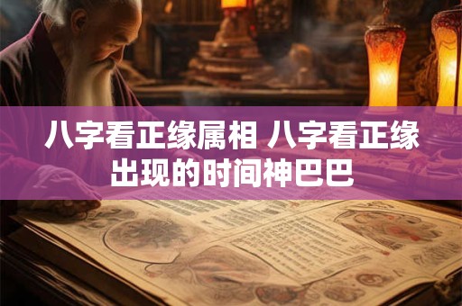 八字看正缘属相 八字看正缘出现的时间神巴巴