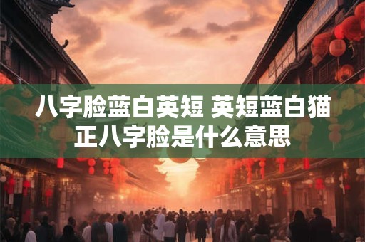 八字脸蓝白英短 英短蓝白猫正八字脸是什么意思