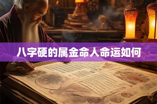 八字硬的属金命人命运如何