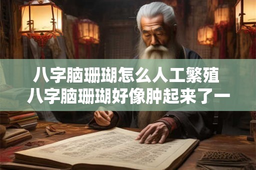 八字脑珊瑚怎么人工繁殖 八字脑珊瑚好像肿起来了一样