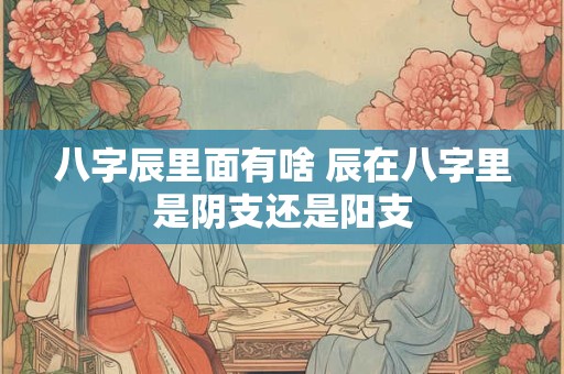 八字辰里面有啥 辰在八字里是阴支还是阳支