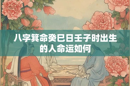 八字箕命癸巳日壬子时出生的人命运如何