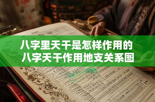 八字里天干是怎样作用的 八字天干作用地支关系图