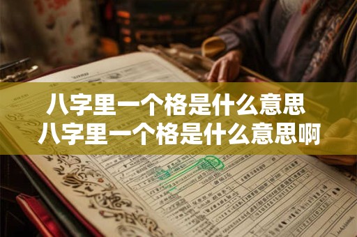 八字里一个格是什么意思 八字里一个格是什么意思啊