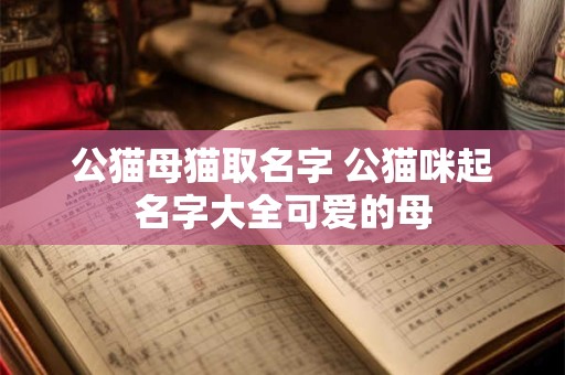 公猫母猫取名字 公猫咪起名字大全可爱的母