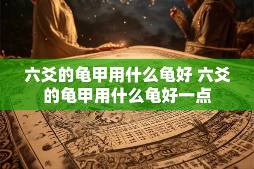 六爻的龟甲用什么龟好 六爻的龟甲用什么龟好一点