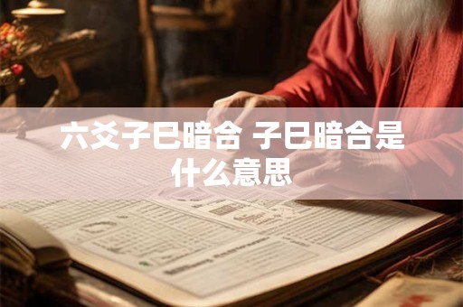 六爻子巳暗合 子巳暗合是什么意思