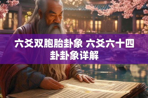 六爻双胞胎卦象 六爻六十四卦卦象详解