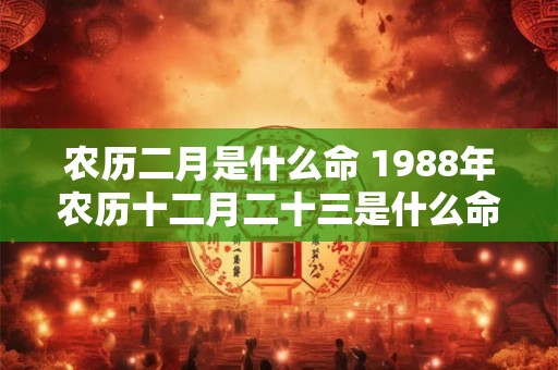 农历二月是什么命 1988年农历十二月二十三是什么命