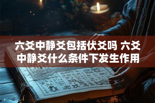 六爻中静爻包括伏爻吗 六爻中静爻什么条件下发生作用