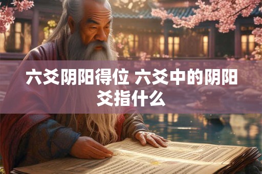 六爻阴阳得位 六爻中的阴阳爻指什么