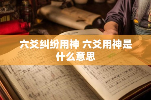 六爻纠纷用神 六爻用神是什么意思