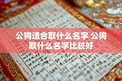 公狗适合取什么名字 公狗取什么名字比较好