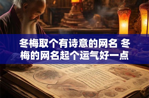 冬梅取个有诗意的网名 冬梅的网名起个运气好一点