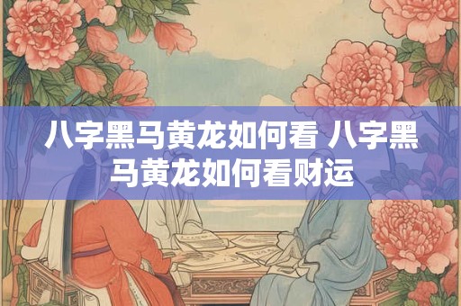 八字黑马黄龙如何看 八字黑马黄龙如何看财运