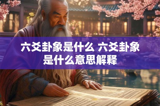 六爻卦象是什么 六爻卦象是什么意思解释