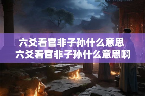 六爻看官非子孙什么意思 六爻看官非子孙什么意思啊