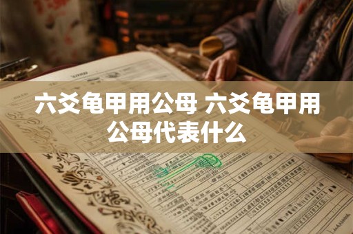 六爻龟甲用公母 六爻龟甲用公母代表什么