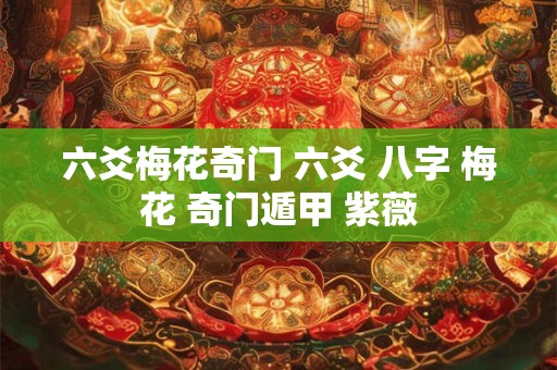六爻梅花奇门 六爻 八字 梅花 奇门遁甲 紫薇