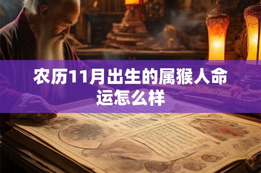 农历11月出生的属猴人命运怎么样
