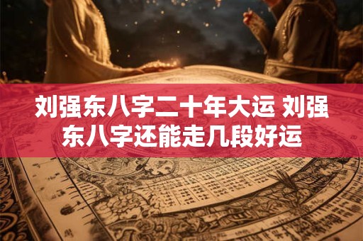 刘强东八字二十年大运 刘强东八字还能走几段好运