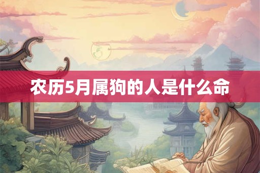 农历5月属狗的人是什么命