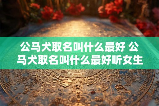 公马犬取名叫什么最好 公马犬取名叫什么最好听女生