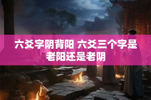 六爻字阴背阳 六爻三个字是老阳还是老阴
