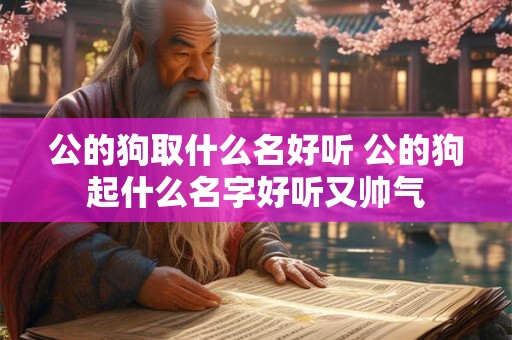 公的狗取什么名好听 公的狗起什么名字好听又帅气