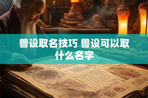 兽设取名技巧 兽设可以取什么名字