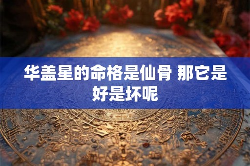 华盖星的命格是仙骨 那它是好是坏呢