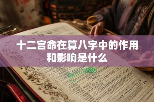 十二宫命在算八字中的作用和影响是什么