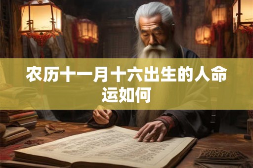 农历十一月十六出生的人命运如何