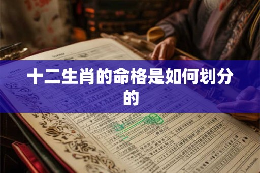 十二生肖的命格是如何划分的