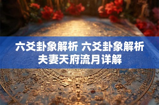 六爻卦象解析 六爻卦象解析夫妻天府流月详解